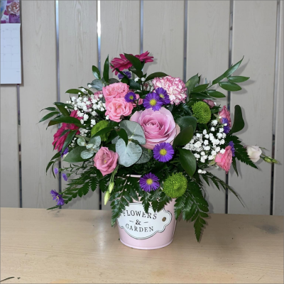 Cotton Candy - This little pot of sweetness is a joy to behold. Filled with smiling flowers and a complement of variegated foliage.