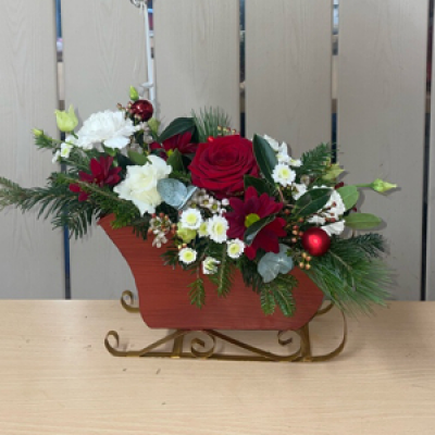 Santa sleigh - An arrangement In a metal sleigh , flowers will be as close to picture as possible but maybe be slight change